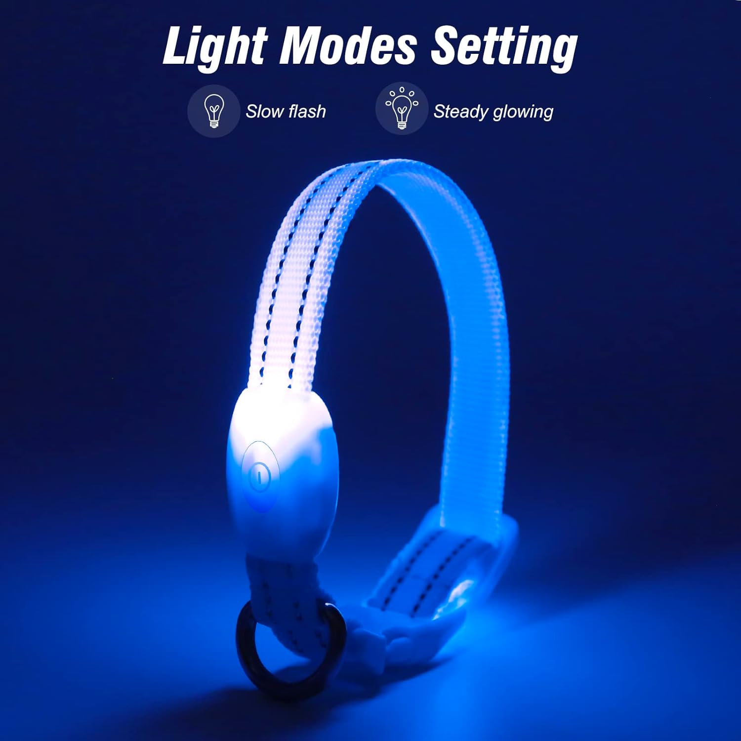 Visinite Light Up Dog Collars for Small Dogs,LED Dog Collar Light Rechargeable,Fully Adjustable Lighted Dog Collar,Glow in The Dark Dog Collars with Dog Lights for Night Walking,Blue - Image 2