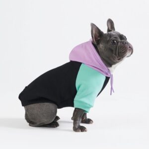 Spark Paws Dog Hoodie – Premium D...