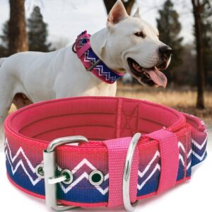 NeckShield Control Dog Collar for L...