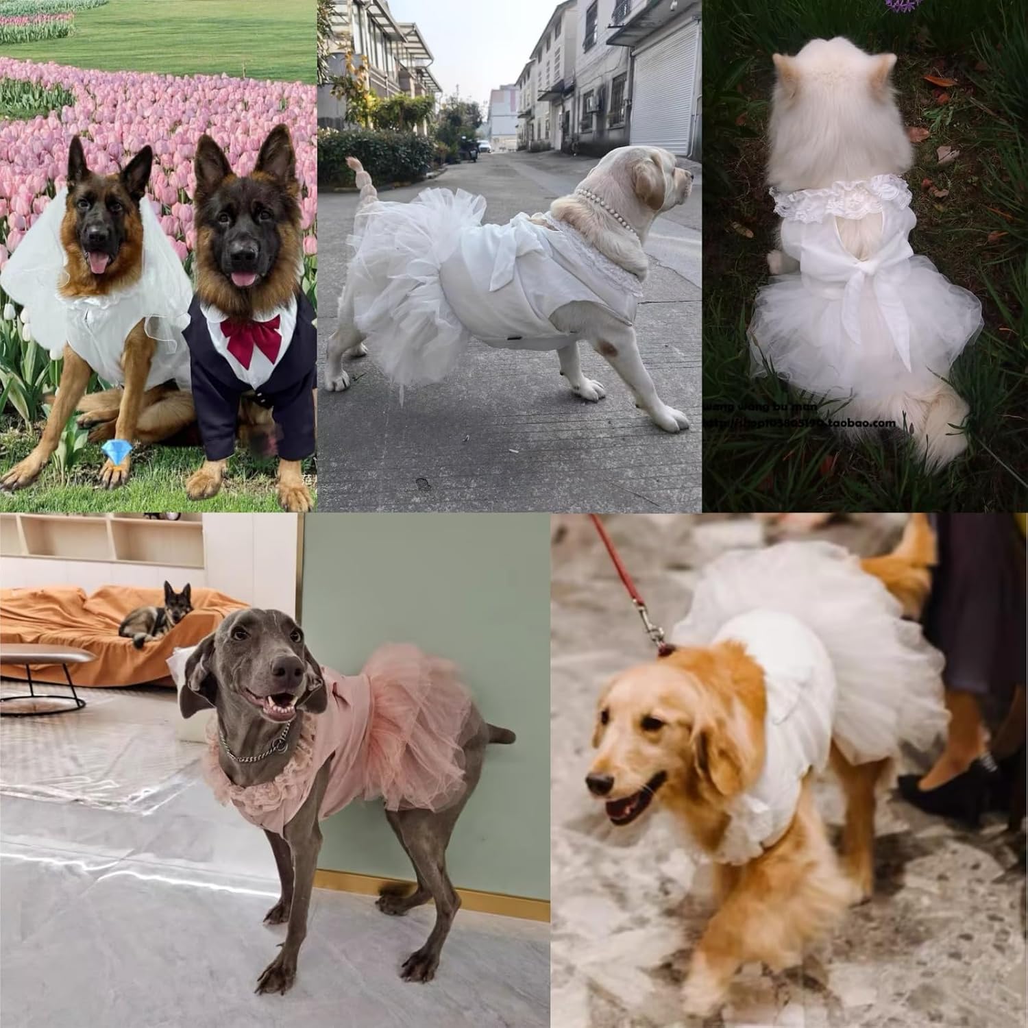 Luxury Dog Tulle Dress - Cute Princess Lace Wedding Dress with Flower Bowknot Multi-Layer Princess Tutu Skirt for Large Dogs - Pink, 5XL - Image 7