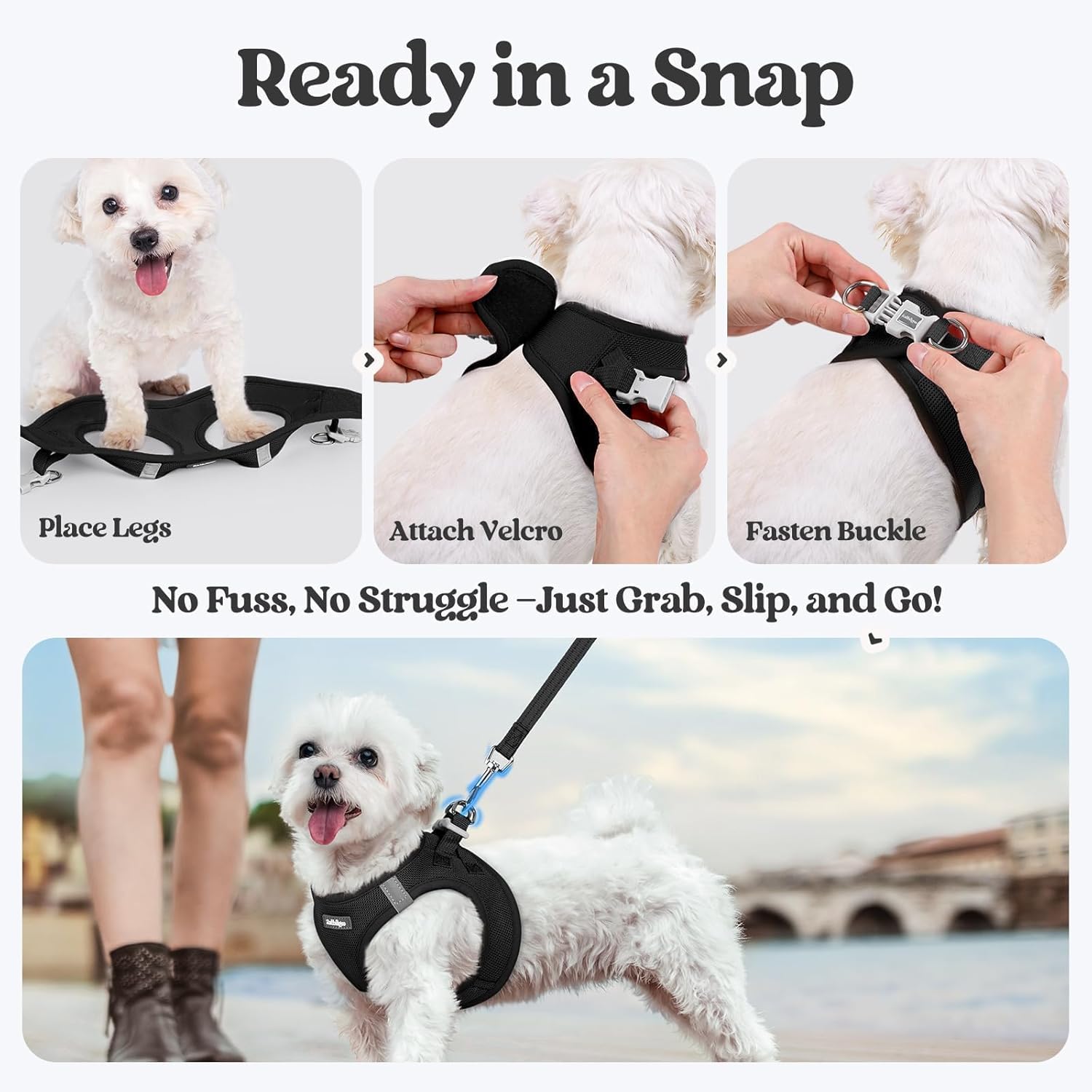 rabbitgoo Dog Harness Small Sized and Leash Set, Step in Soft Light Puppy Vest, Breathable Mesh Pet Harness, Reflective for Safe Easy Walking, Black S - Image 7
