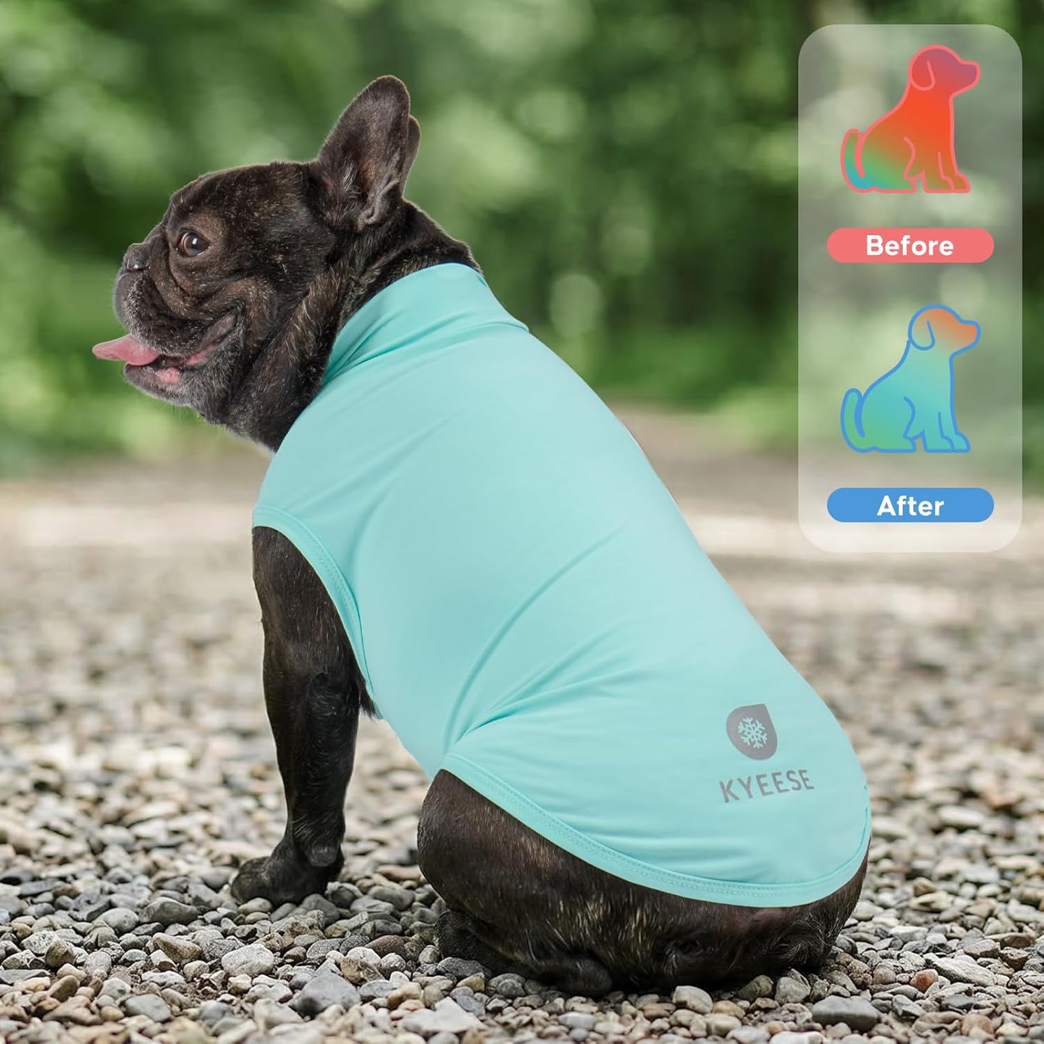 KYEESE 2Pack Dog Cooling Shirt, Breathable Dog Shirt for Small Medium Dogs Boy, Sun Protection Reflective Pet Vest, Lightweight Soft Tank Top Sleeveless Summer Dogs Clothes, Blue, XL - Image 2