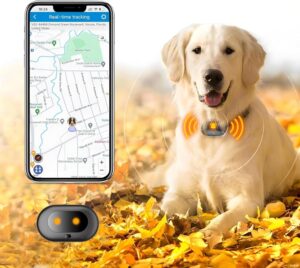 GPS 4G Tracker & Health Monito...
