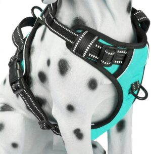 PoyPet No Pull Dog Harness, Reflect...