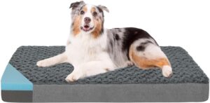 Orthopedic Memory Foam Bed for Larg...