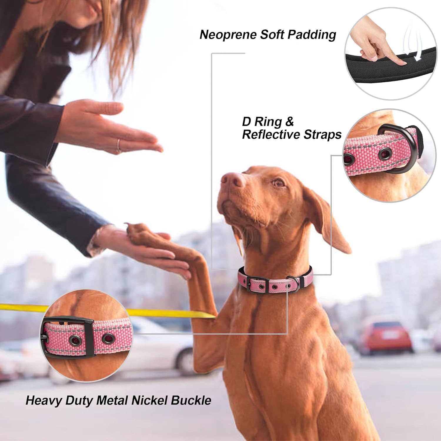 PetiFine Neoprene Padded Dog Collar, Heavy Duty Comfort Dog Collar with Durable Metal Buckle, Reflective Adjustable Belt Buckle Dog Collars for Small Medium Large Dogs(14.5''-19'', Pink) - Image 2