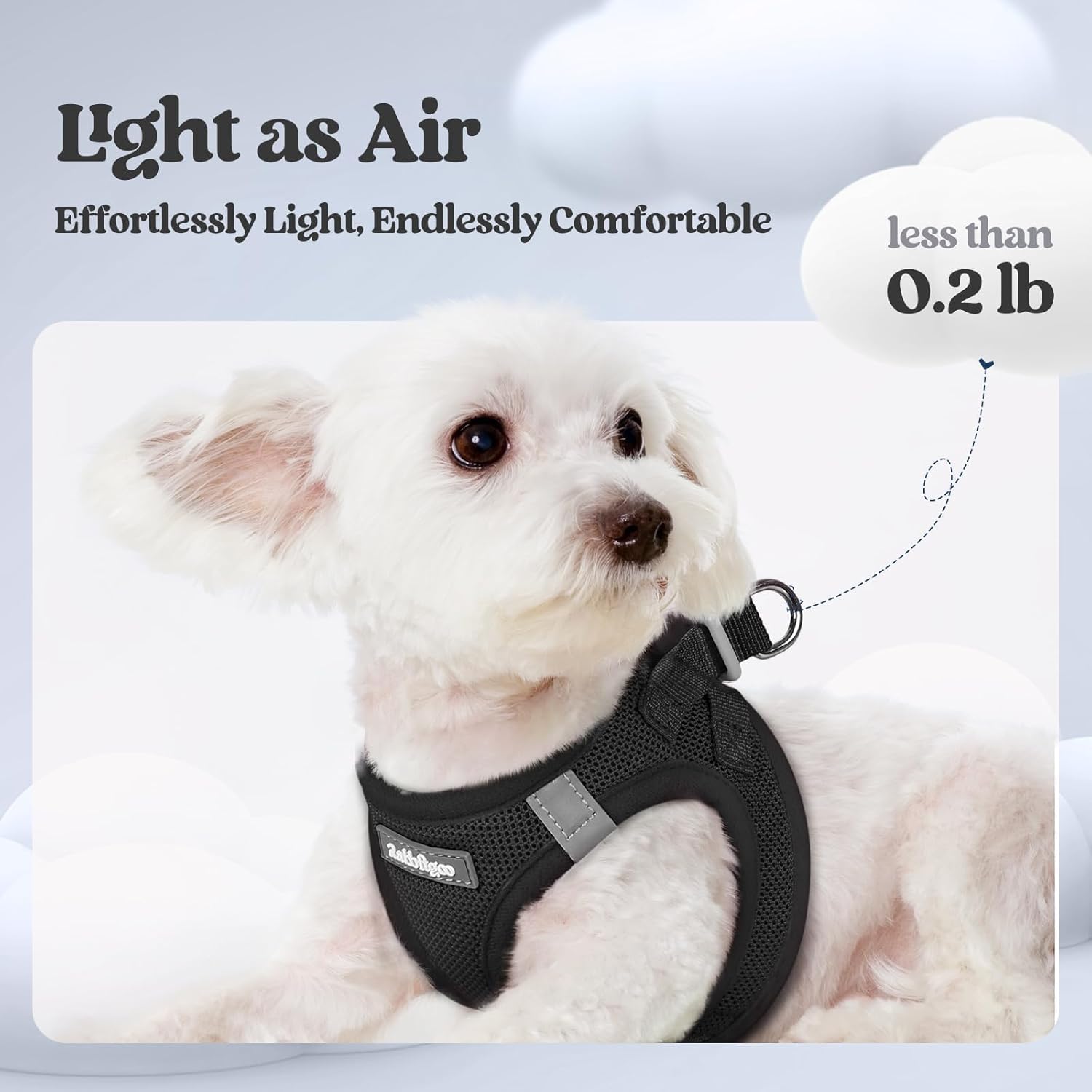 rabbitgoo Dog Harness Small Sized and Leash Set, Step in Soft Light Puppy Vest, Breathable Mesh Pet Harness, Reflective for Safe Easy Walking, Black S - Image 3