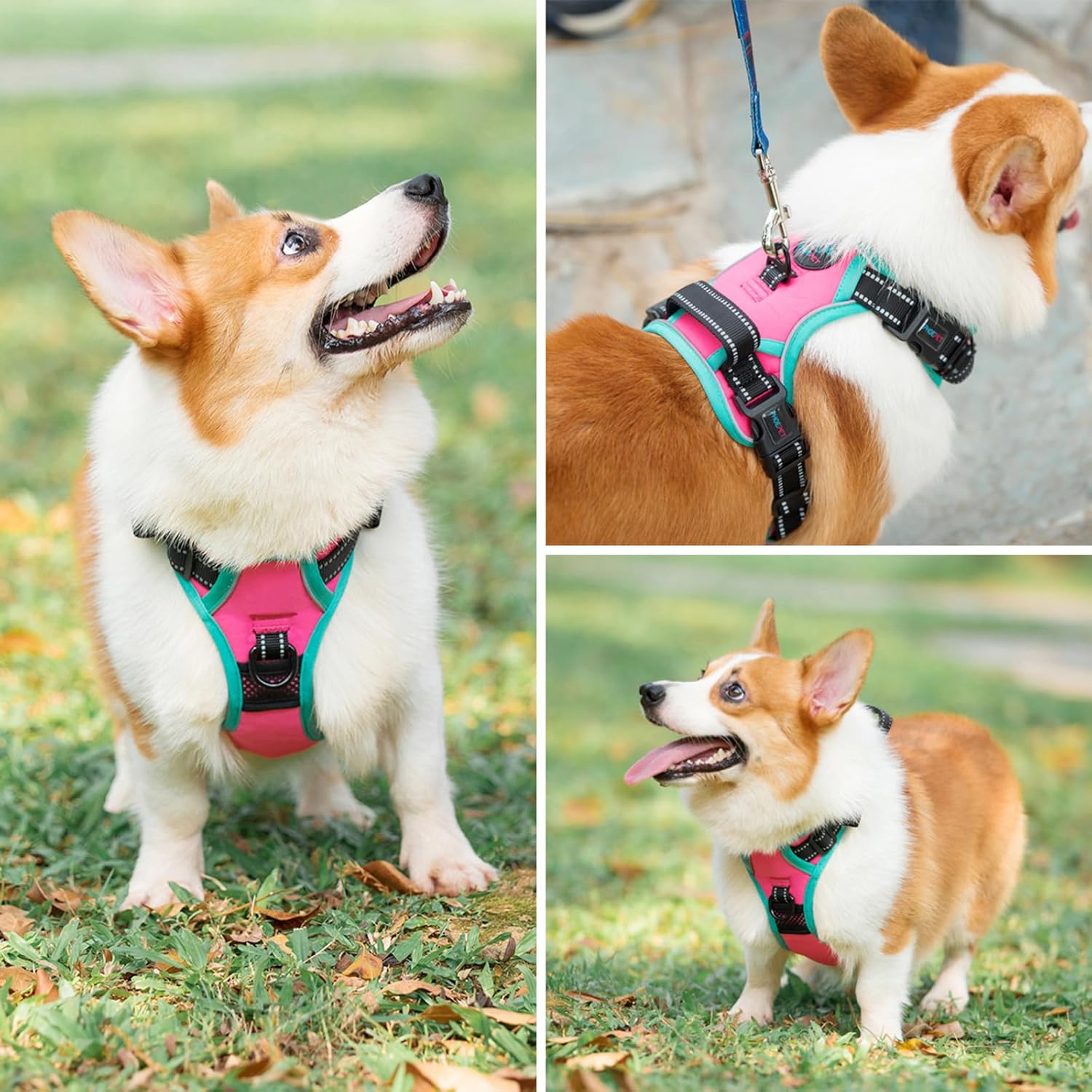 PHOEPET 2019 Upgraded No Pull Dog Harness, Reflective Adjustable Vest, with a Training Handle + 2 Metal Leash Hooks+ 3 Snap Buckles +4 Slide Buckles(L, Pink) - Image 6