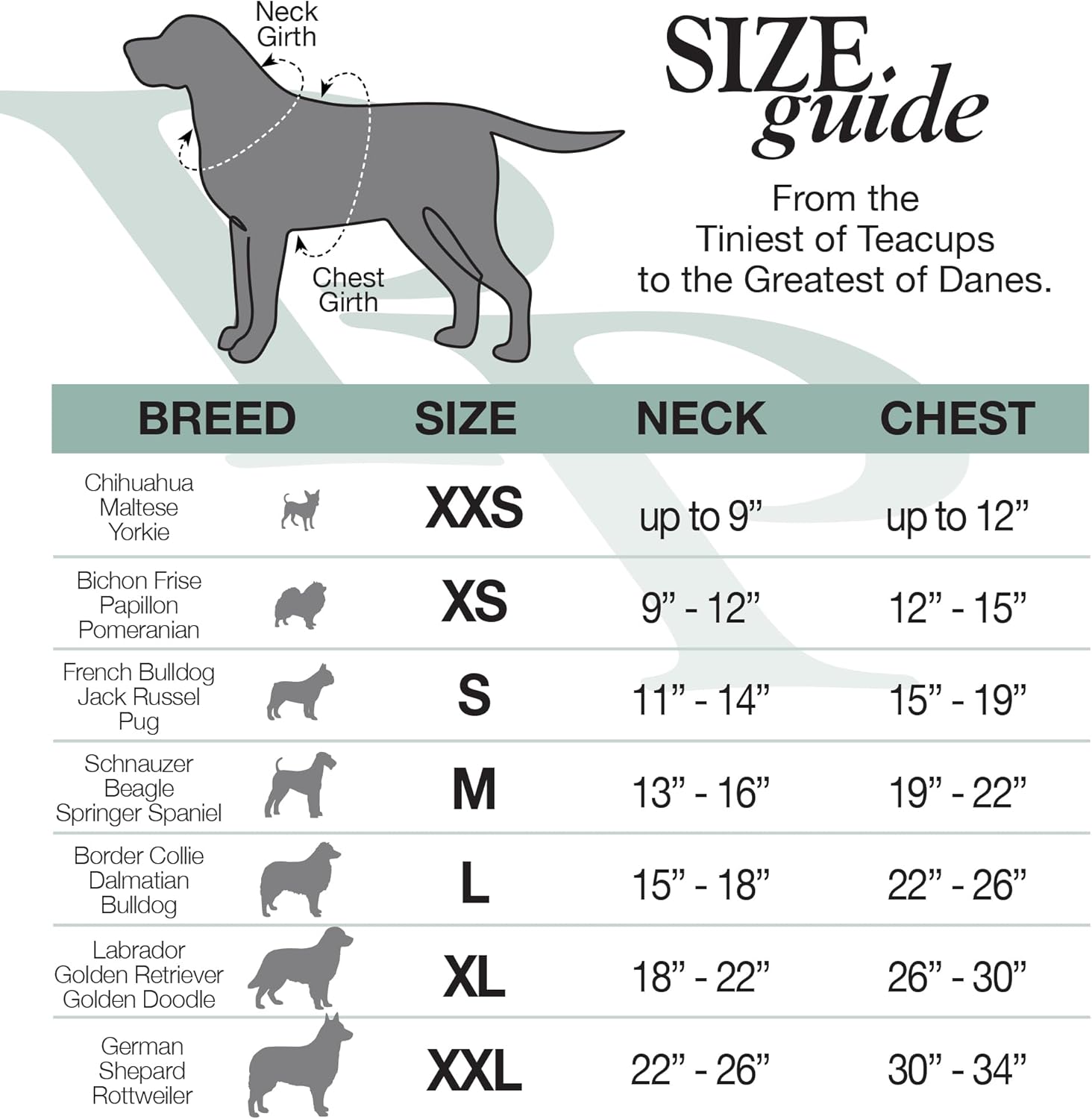 Pet Passion Cooper II Organic Cotton Velour Dog Hoodie Pet Coat for Small, Medium and Large Dogs, Sage, Medium (20-45 lbs) - Image 8