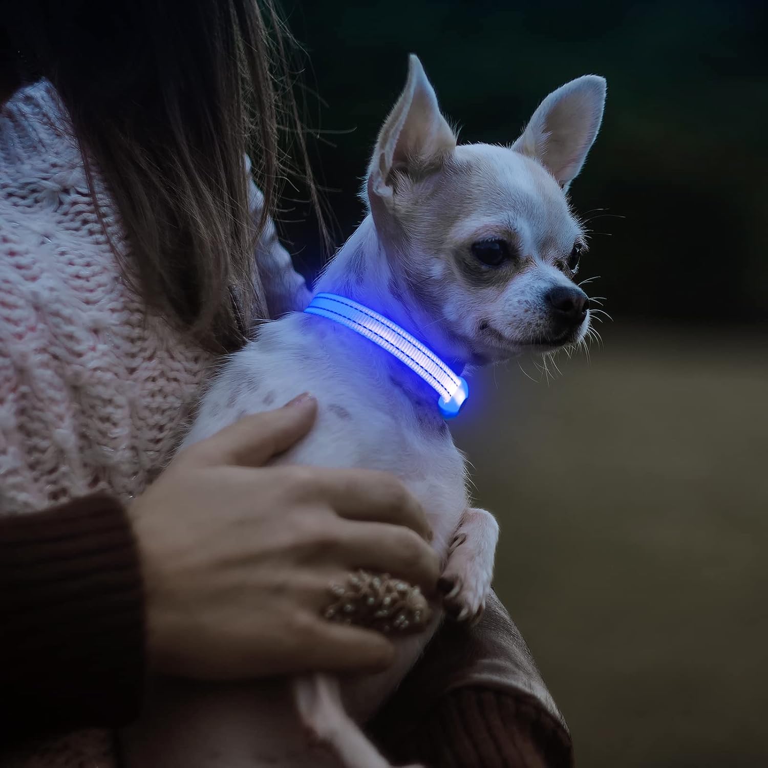Visinite Light Up Dog Collars for Small Dogs,LED Dog Collar Light Rechargeable,Fully Adjustable Lighted Dog Collar,Glow in The Dark Dog Collars with Dog Lights for Night Walking,Blue - Image 6