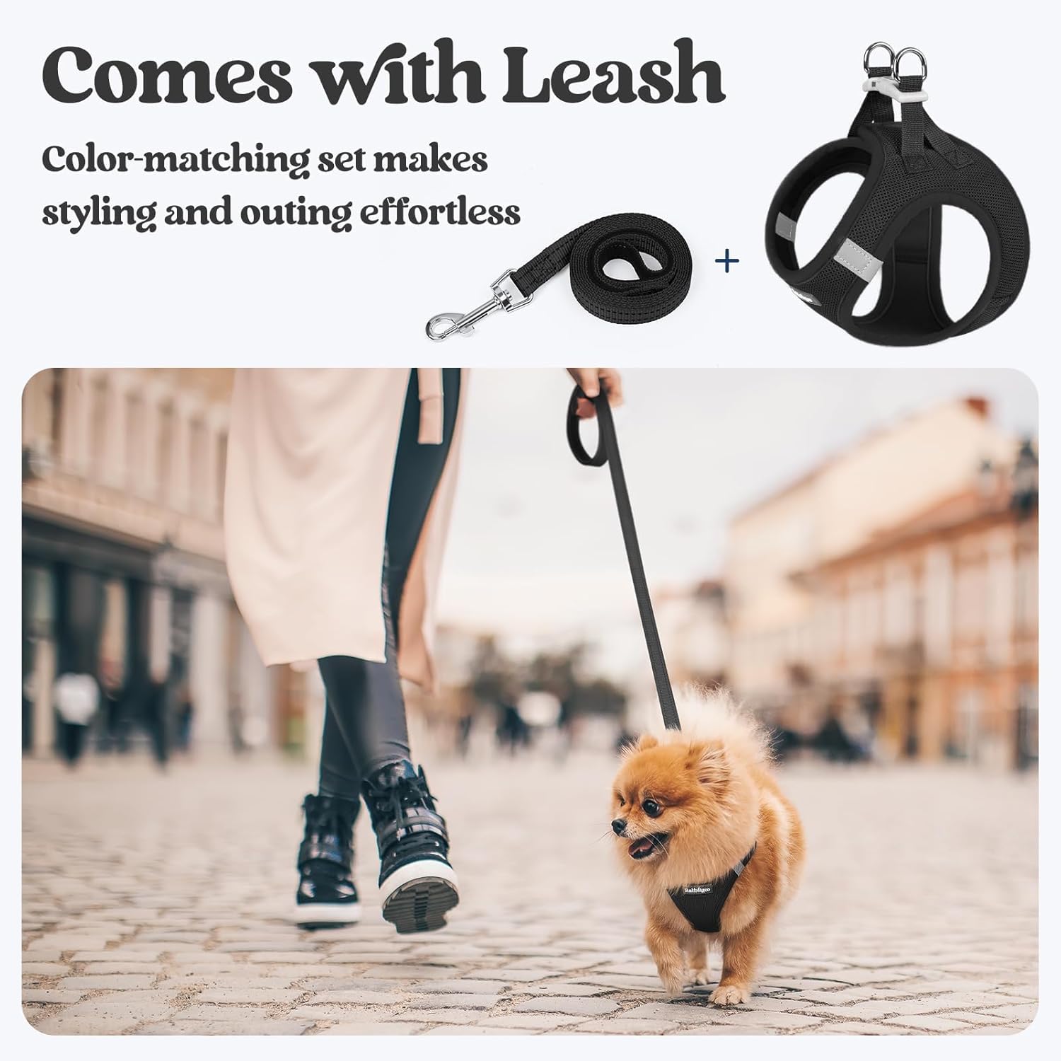 rabbitgoo Dog Harness Small Sized and Leash Set, Step in Soft Light Puppy Vest, Breathable Mesh Pet Harness, Reflective for Safe Easy Walking, Black S - Image 5