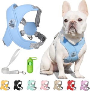 Patas Lague Dog Harness with Leash ...