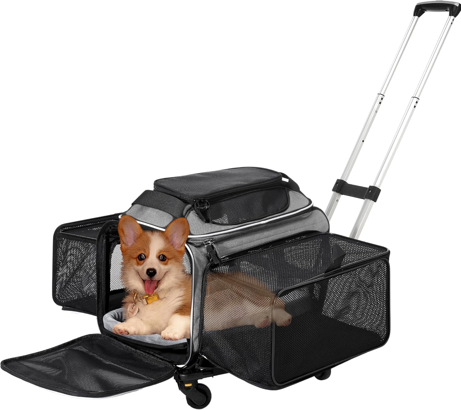 Airline Approved Top-Expanding Pet Carrier on Wheels- Extra Spacious Soft Lined Carrier! 18x11x11 (Grey, Expanding Sides)