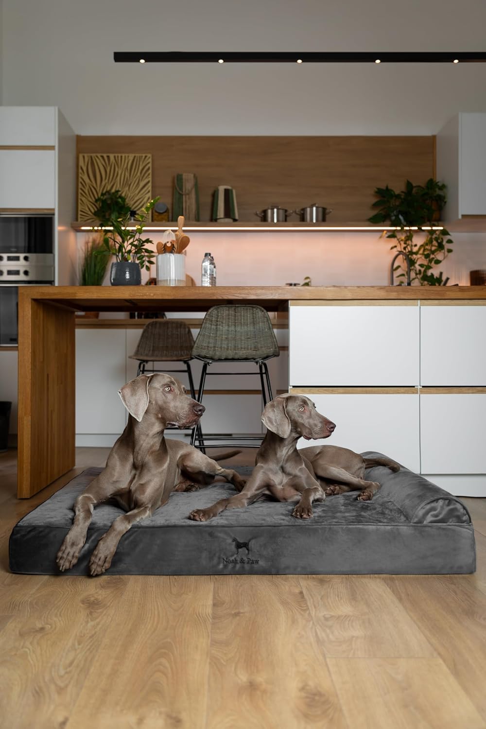 NOAH & PAW Giant Dog Bed XXL 55x45x9.5 Inch, Orthopedic Dog Beds, Eggshell Memory Foam Infused with Cooling Gel, Waterproof, Machine Washable, Includes Inner Cover (Velvet Collection) - Image 7
