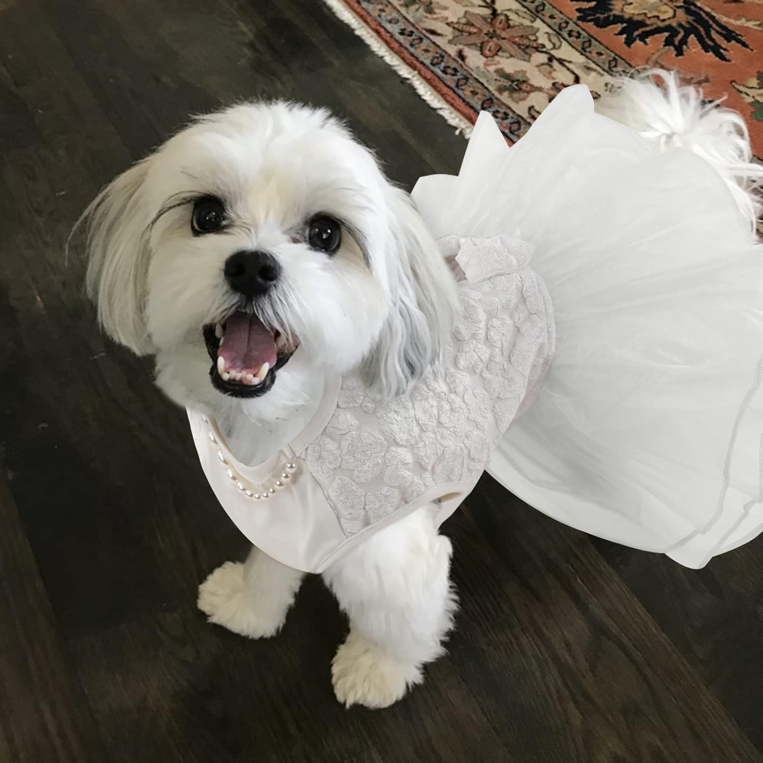 ASENKU Dog Dress, Dog Wedding Dress, Pet Lace Princess Dress with Bows for Wedding Birthday Party, Puppy Formal Apparel with Pearl Necklace for Small Medium Dogs (White, Medium) - Image 5