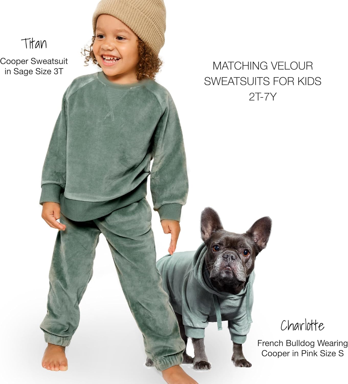 Pet Passion Cooper II Organic Cotton Velour Dog Hoodie Pet Coat for Small, Medium and Large Dogs, Sage, Medium (20-45 lbs) - Image 5