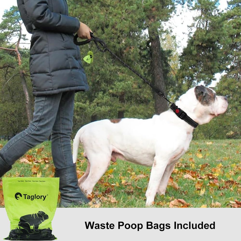 Taglory Rope Dog Leash 6 FT with Comfortable Padded Handle, Highly Reflective Threads Leash and Anti-Tangle Clip for Walking Medium Large Dogs, 1/2 inch, Black - Image 2