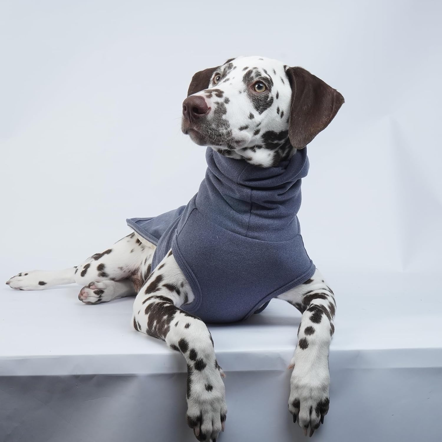 ROZKITCH Calming Hoodie for Dogs, Dog Sweatshirts for Medium Dogs with Hoodie Soft Ears Cover Wrap, Anti Itch Pet Shirt for Fireworks Travel Vet Visit, Anxiety Vest Blue M - Image 8