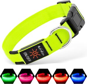 Illumifun Light Up Dog Collar, USB ...