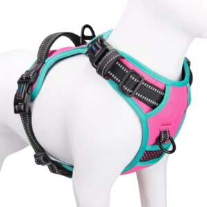PHOEPET 2019 Upgraded No Pull Dog H...