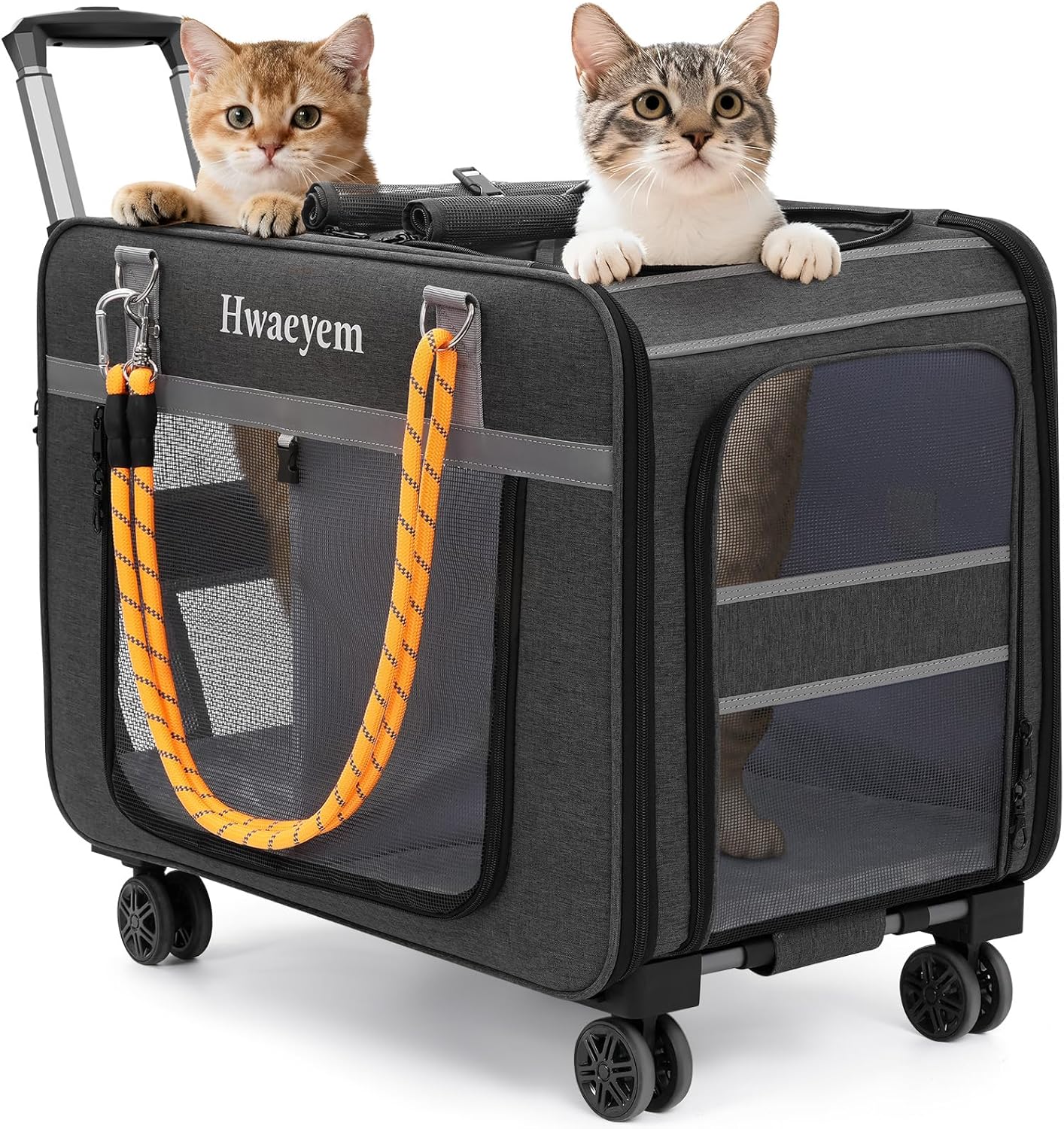 Extra Large Pet Cat Carrier with Wheels, Rolling Pet Carrier for 2 Cats or Medium Dog, 24" X 15" X 17" Portable Dog Cat Crate for Large Cat, Support up to 40 Lbs, Dark Gray