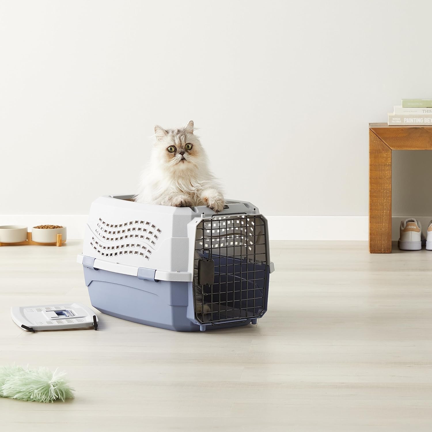 Amazon Basics Sturdy Portable 2-Door Top-Load Hard-Sided Pet Travel Carrier with Secure Ventilation, Handle, Front & Top Entry for Dogs, Cats, 22.8"L x 15"W x 13"H, Gray & Blue - Image 9
