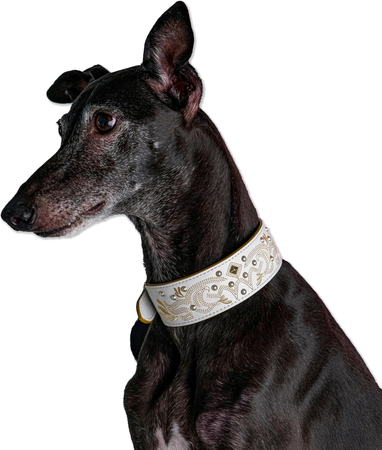 Blueberry Pet Western Genuine Leather Dog Collar for Medium Breeds, Pearl White - Floral Embroidery, Pearl Studs, Adjustable 15-18 Inch Neck, Dog Collars for Medium Dogs - Image 6