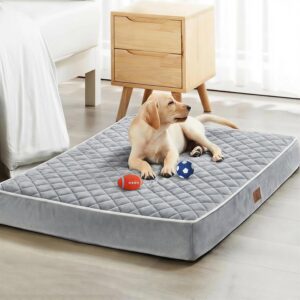 WNPETHOME Orthopedic Waterproof Ext...
