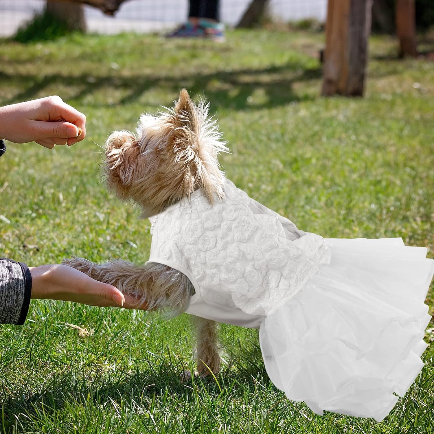 ASENKU Dog Dress, Dog Wedding Dress, Pet Lace Princess Dress with Bows for Wedding Birthday Party, Puppy Formal Apparel with Pearl Necklace for Small Medium Dogs (White, Medium) - Image 7