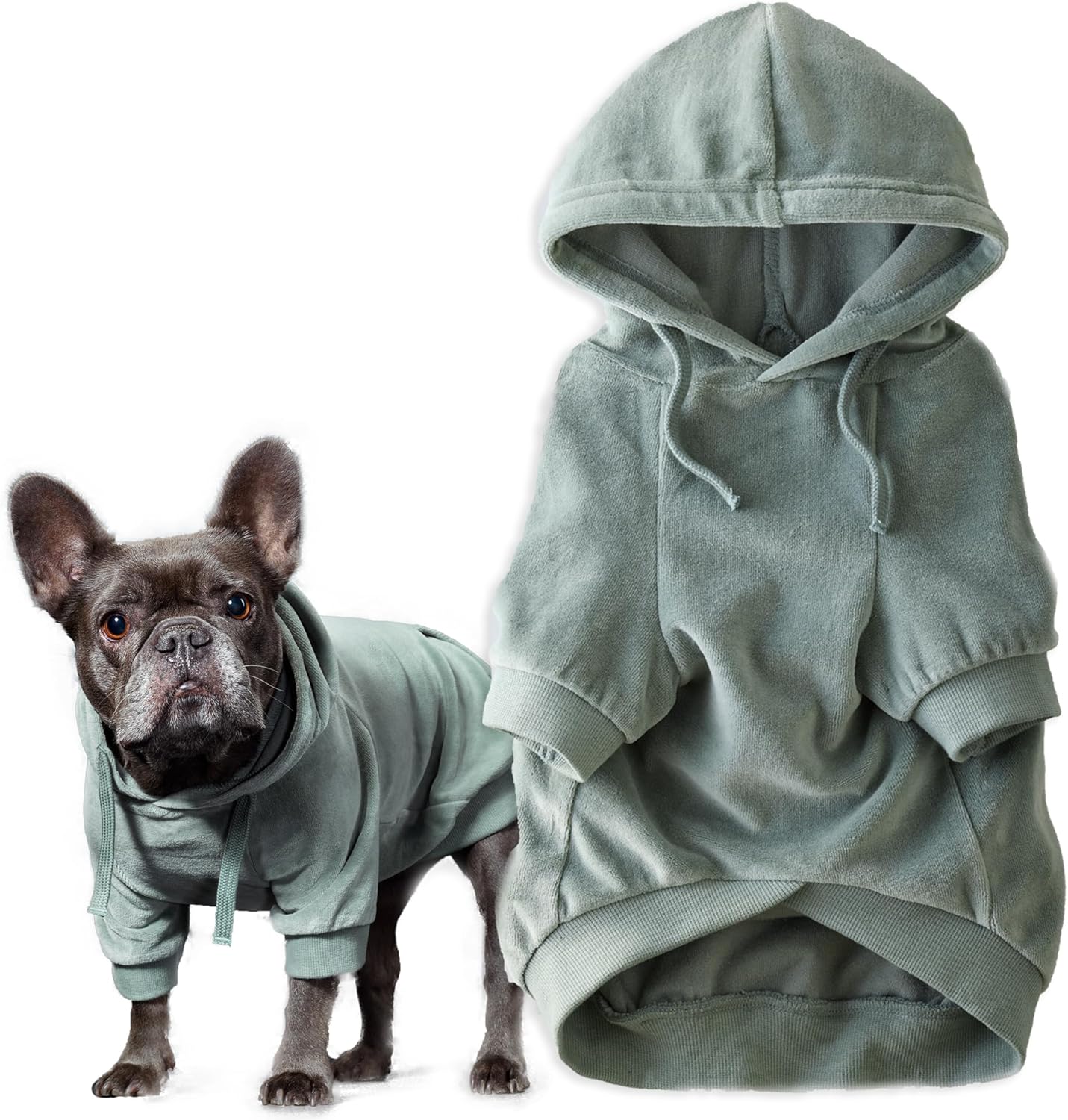 Pet Passion Cooper II Organic Cotton Velour Dog Hoodie Pet Coat for Small, Medium and Large Dogs, Sage, Medium (20-45 lbs)