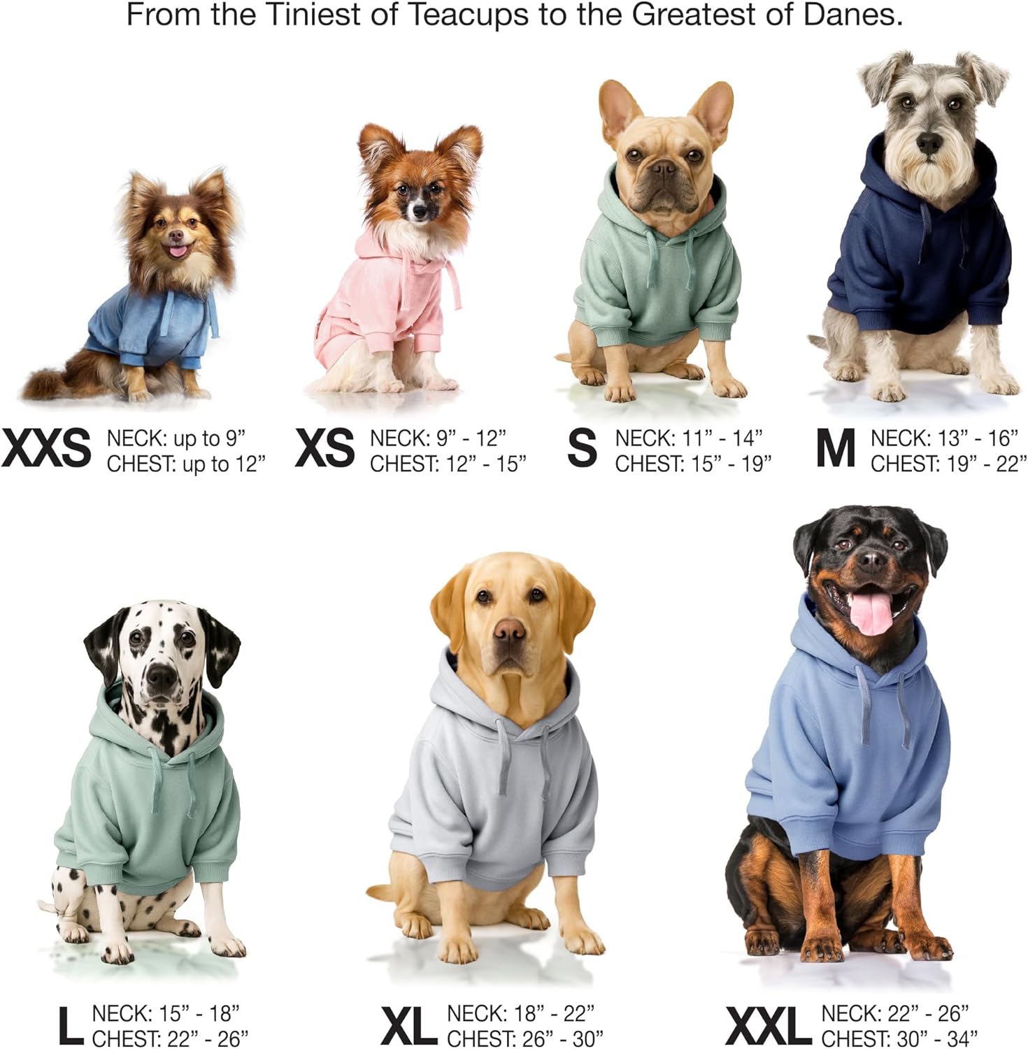 Pet Passion Cooper II Organic Cotton Velour Dog Hoodie Pet Coat for Small, Medium and Large Dogs, Sage, Medium (20-45 lbs) - Image 7