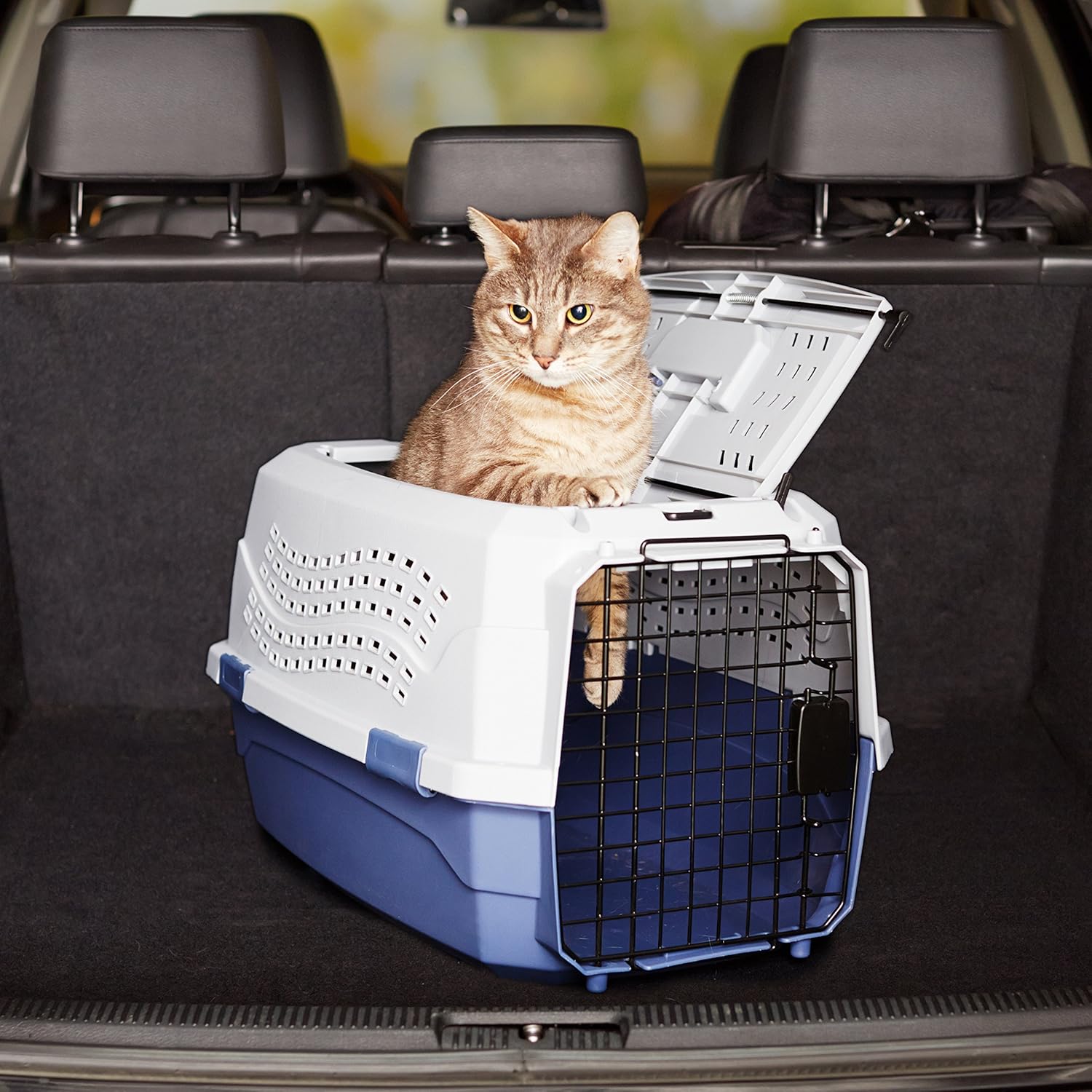 Amazon Basics Sturdy Portable 2-Door Top-Load Hard-Sided Pet Travel Carrier with Secure Ventilation, Handle, Front & Top Entry for Dogs, Cats, 22.8"L x 15"W x 13"H, Gray & Blue - Image 10