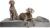 NOAH & PAW Giant Dog Bed XXL 55x45x9.5 Inch, Orthopedic Dog Beds, Eggshell Memory Foam Infused with Cooling Gel, Waterproof, Machine Washable, Includes Inner Cover (Velvet Collection)