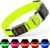 Illumifun Light Up Dog Collar, USB Rechargeable LED Dog Collar Glow in the Dark，Adjustable Pet Safety Lights for Night Walking (Green, Medium)