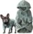 Pet Passion Cooper II Organic Cotton Velour Dog Hoodie Pet Coat for Small, Medium and Large Dogs, Sage, Medium (20-45 lbs)